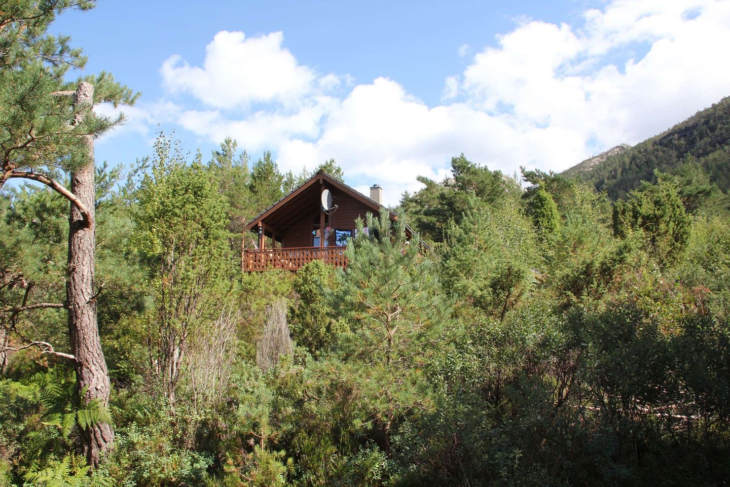 Fjordhytta 38 — Rosendal, Hardanger