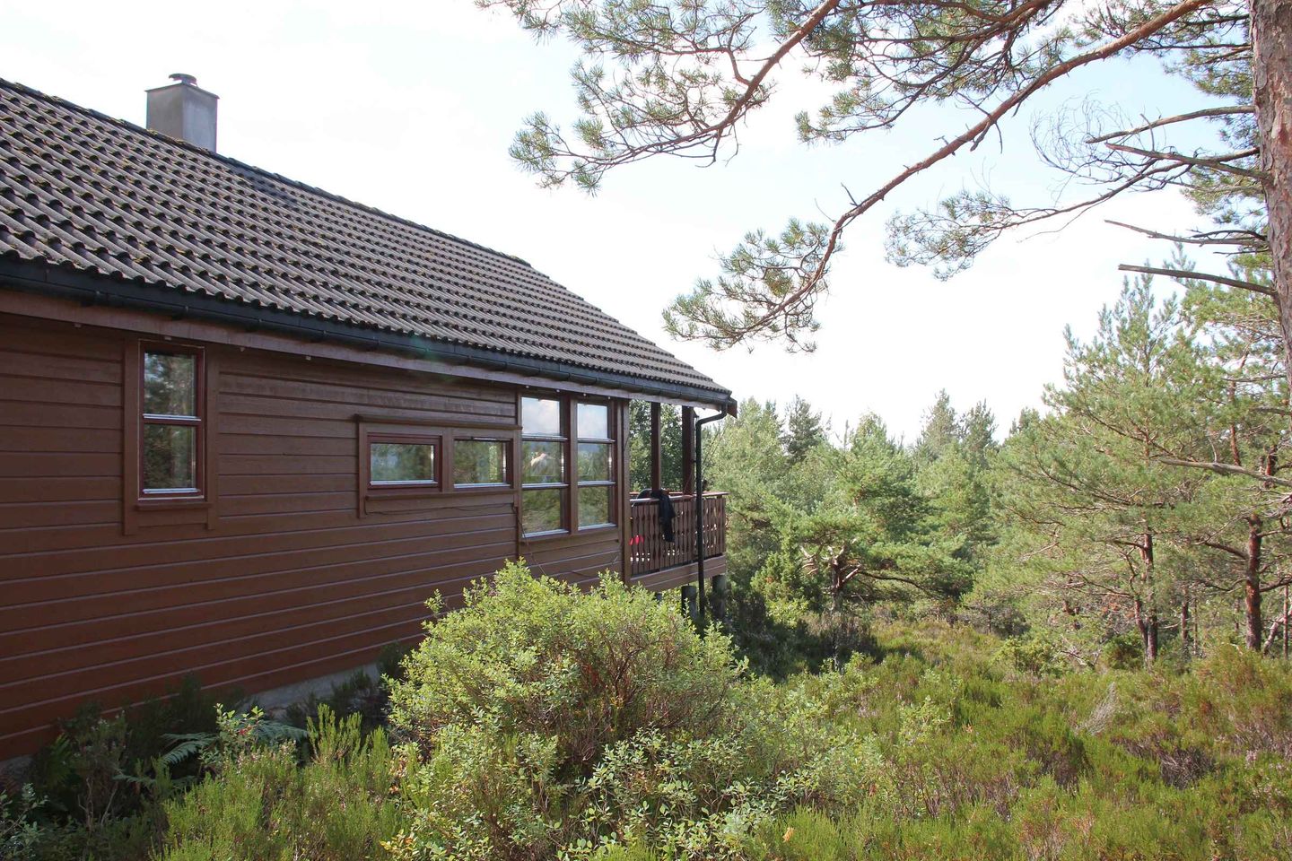 Fjordhytta 38 — Rosendal, Hardanger
