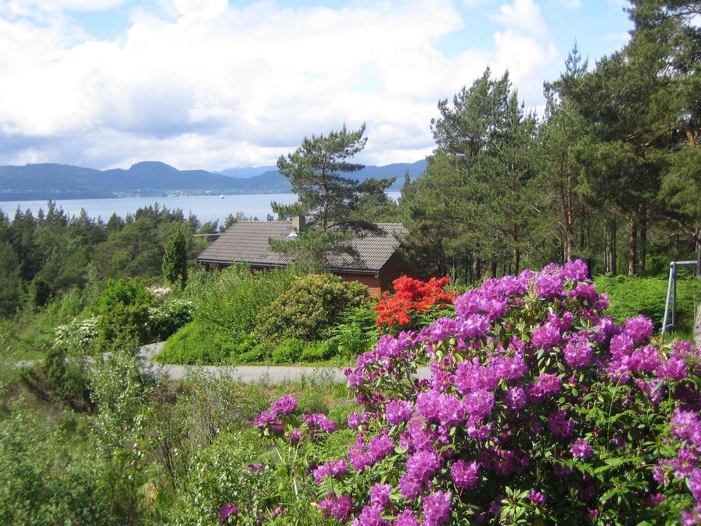 Fjordhytta 38 — Rosendal, Hardanger