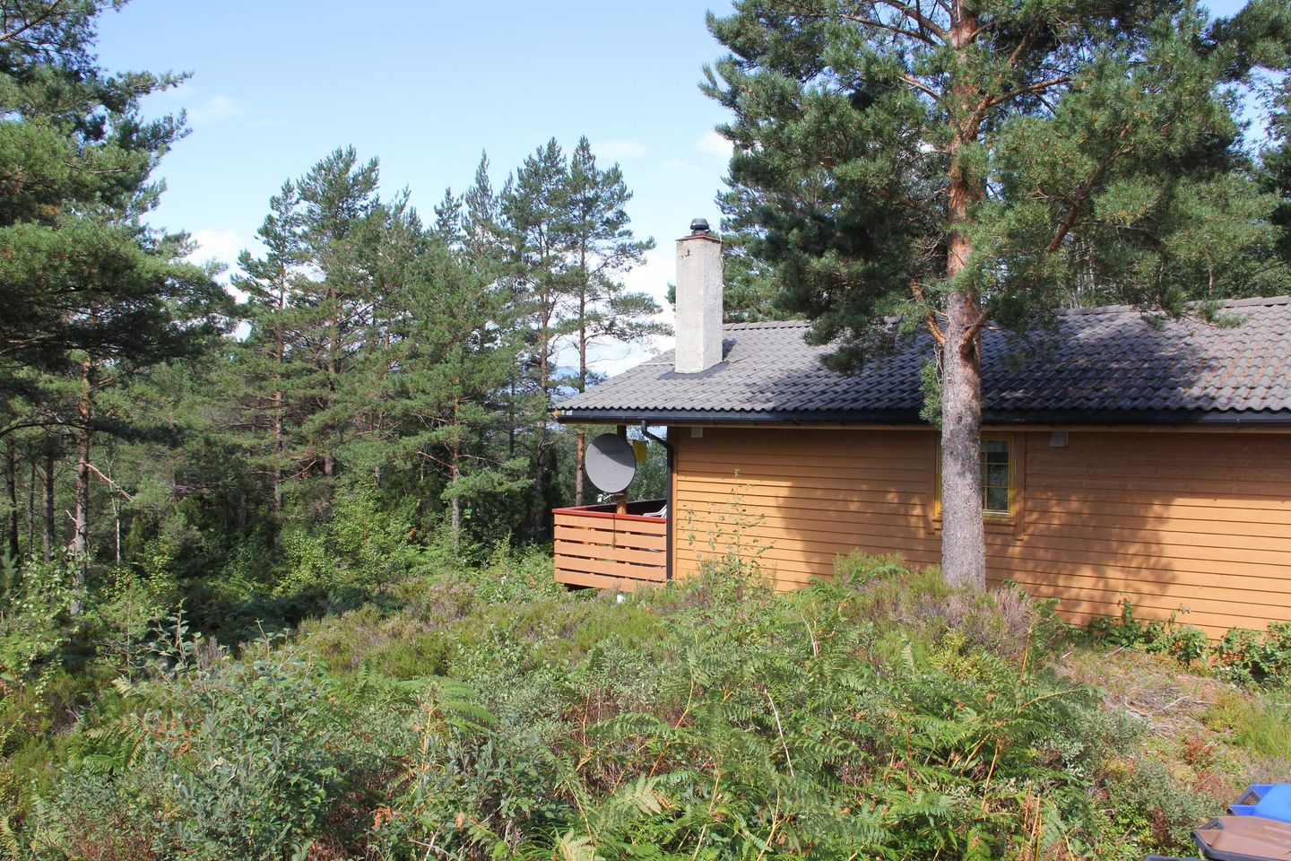 Fjordhytta 39 — Rosendal, Hardanger