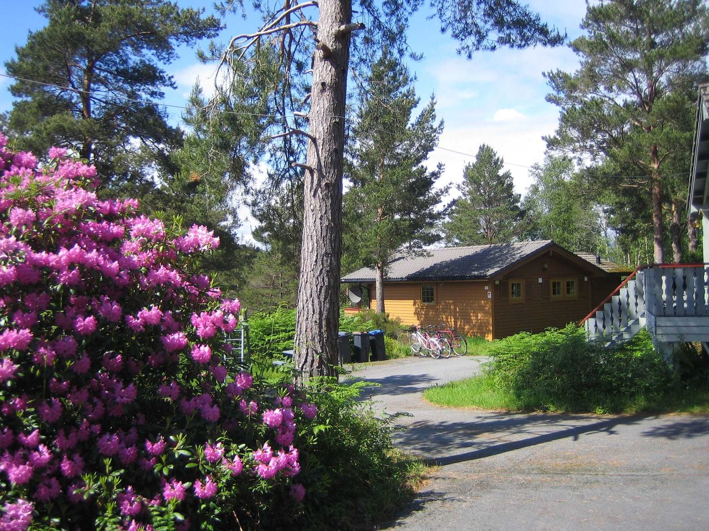 Fjordhytta 39 — Rosendal, Hardanger