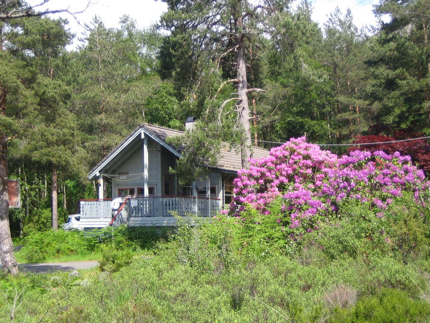 Fjordhytta 40 — Rosendal, Hardanger