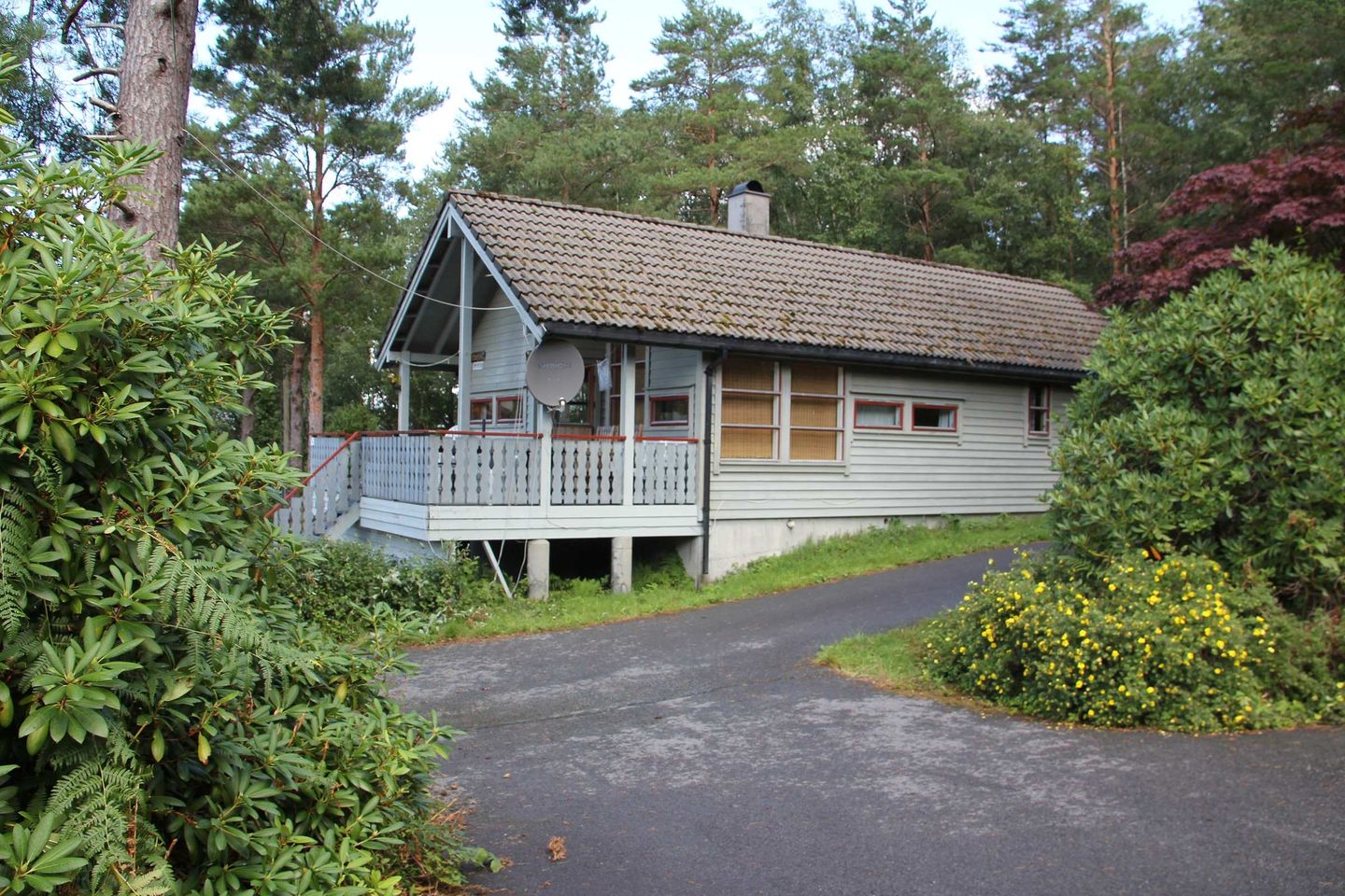 Fjordhytta 40 — Rosendal, Hardanger
