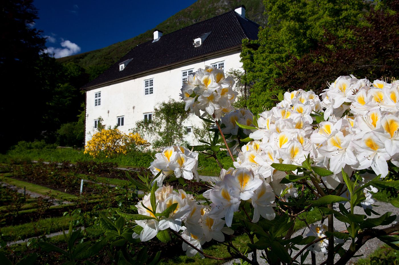 Baroniet Rosendal